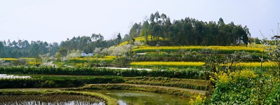 犍为双溪小市村：打造“花园村庄”助力乡村振兴