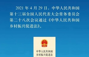 一图读懂《中华人民共和国乡村振兴促进法》（附全文）